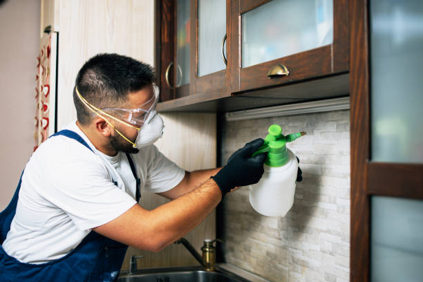 Best Best Pest Control Companies  in Conesus Lake, NY