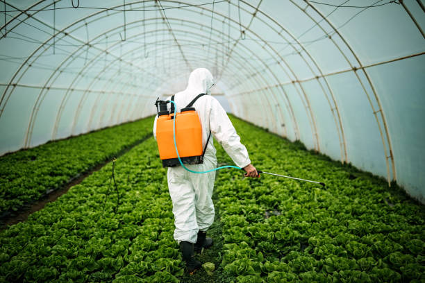 Best Pest Control Near Me  in Conesus Lake, NY