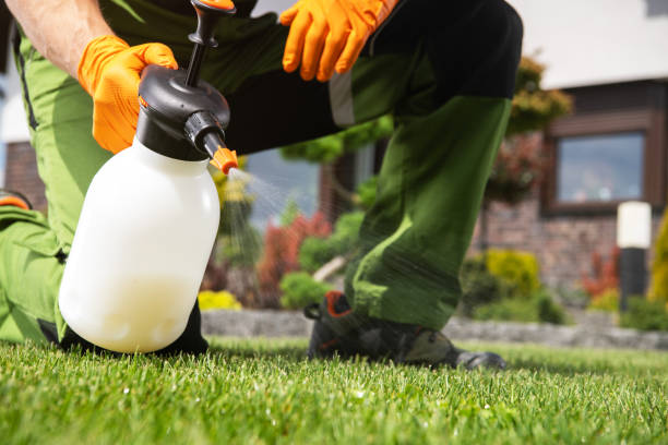 Conesus Lake, NY Pest Control Company