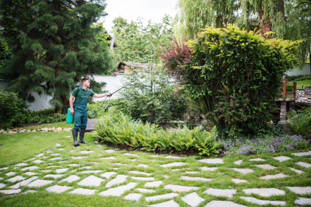 Best Exterminator Services  in Conesus Lake, NY