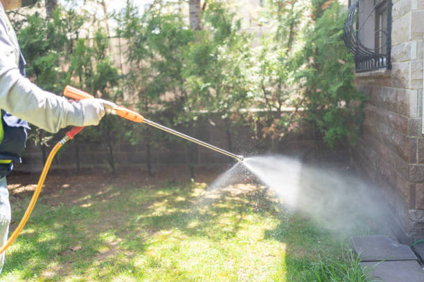 Best Pest Inspection Near Me  in Conesus Lake, NY