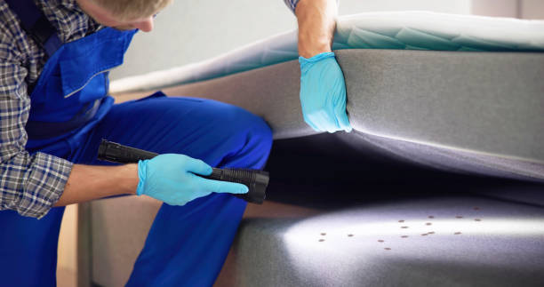 Best Emergency Pest Control  in Conesus Lake, NY