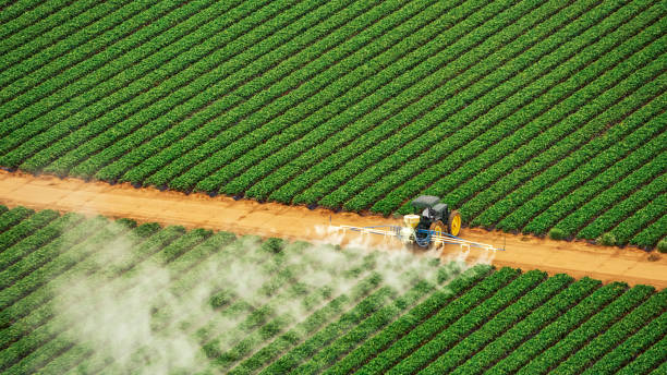 Pest Control Cost in Conesus Lake, NY