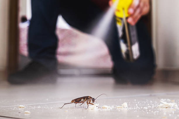 Best Pest Control Near Me in Conesus Lake, NY