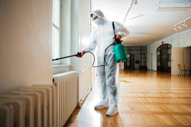Best Mosquito Control Services  in Conesus Lake, NY