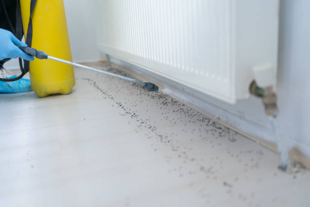 Best Residential Pest Control  in Conesus Lake, NY